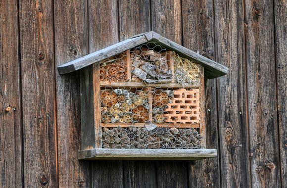 Teamevent-Nachhaltigkeit-Insektenhotel-SEINZ Teamevent-Nachhaltigkeit-Insektenhotel-SEINZ