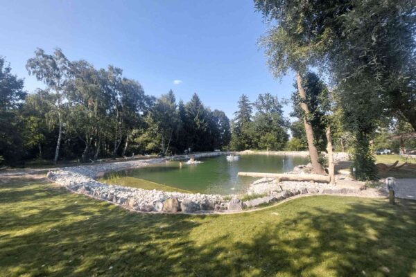 Schwimmteich_Ganz