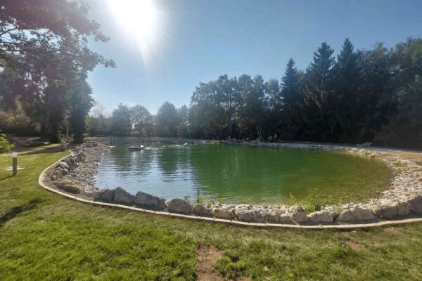 Schwimmteich_Sonne